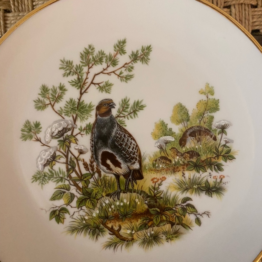 Kuba Porcelain. Game Bird Plate.7.75 inches. Elegant with Gold Rim. - Picture 2 of 4